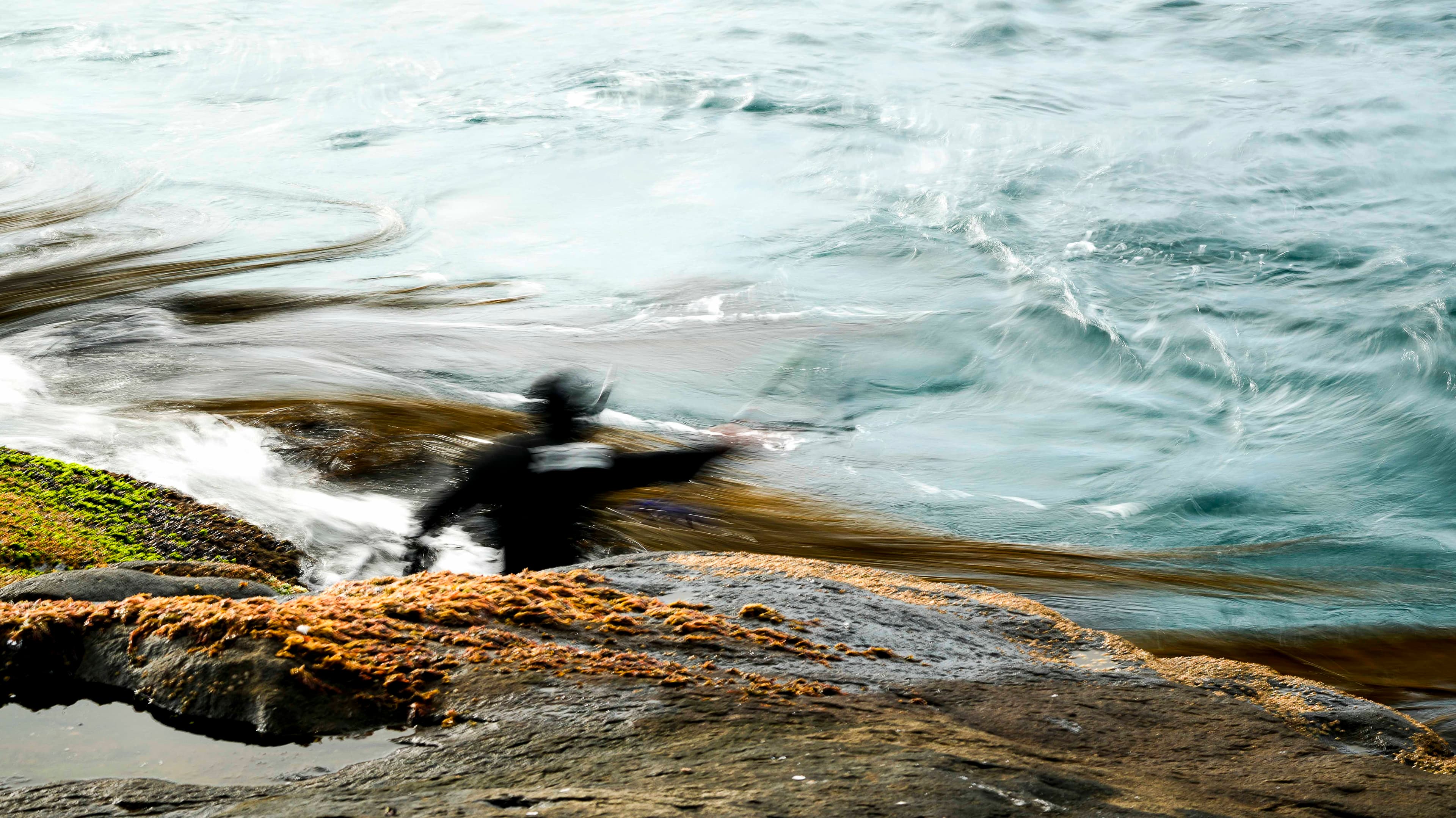 Buzo - Fotografía artística del mar por Cristian Letelier (Yiasau)
