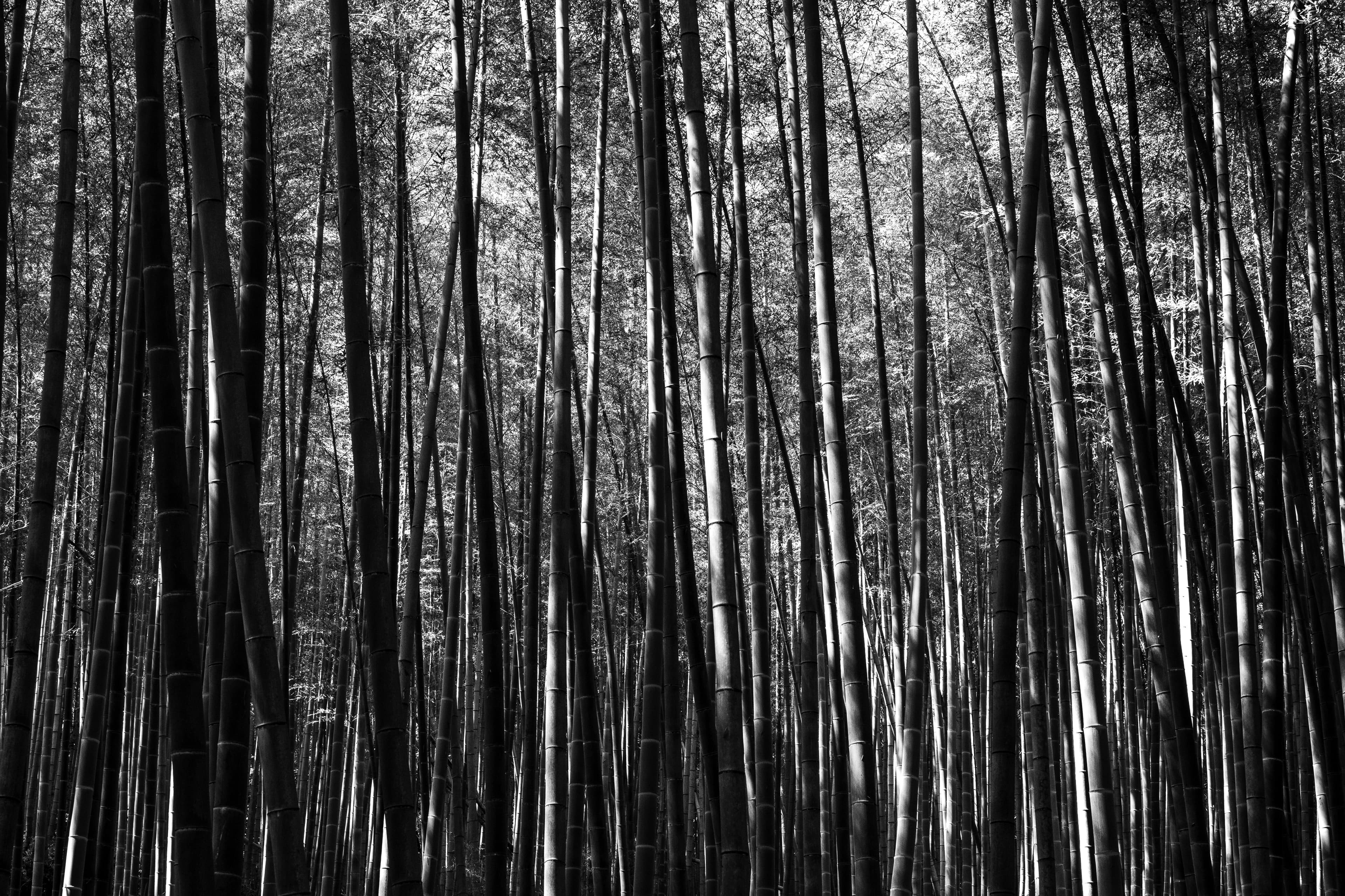 Fotografía favorita por Cristian Letelier (Yiasau)