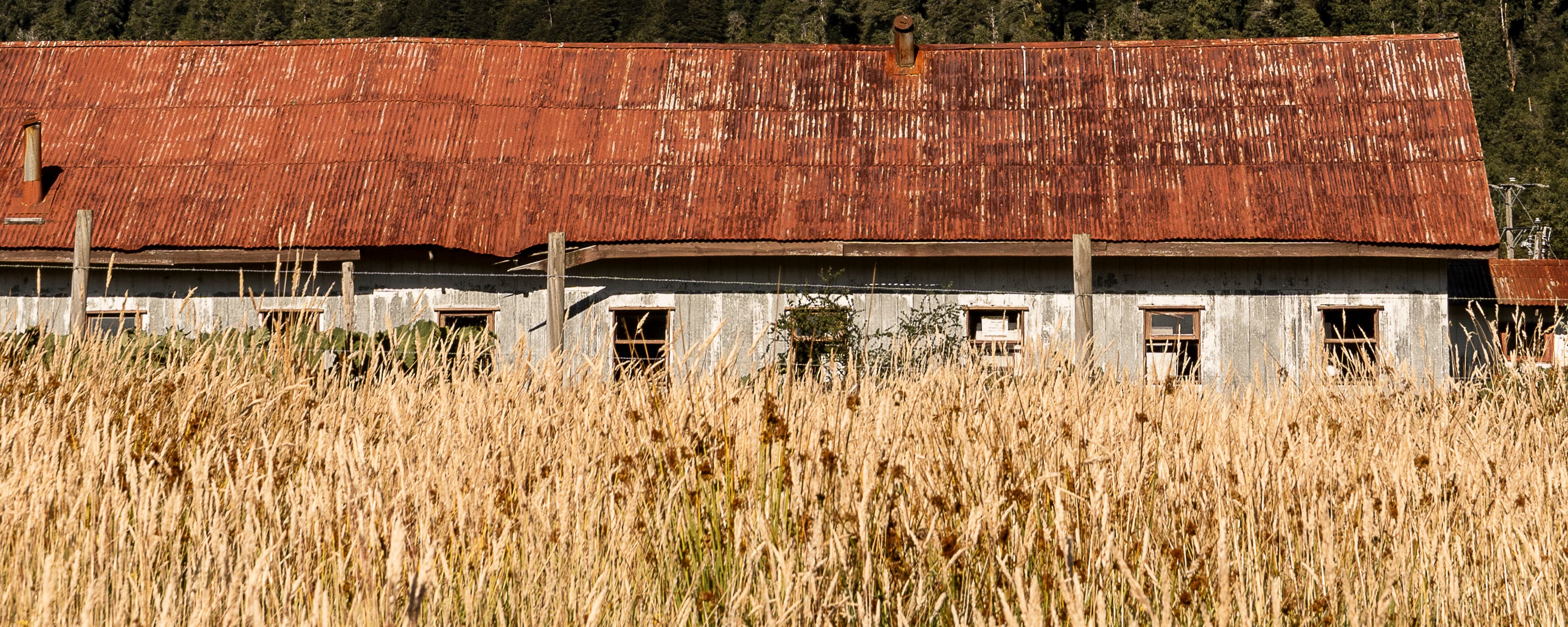 Sur de Chile - Fotografía favorita por Cristian Letelier (Yiasau)