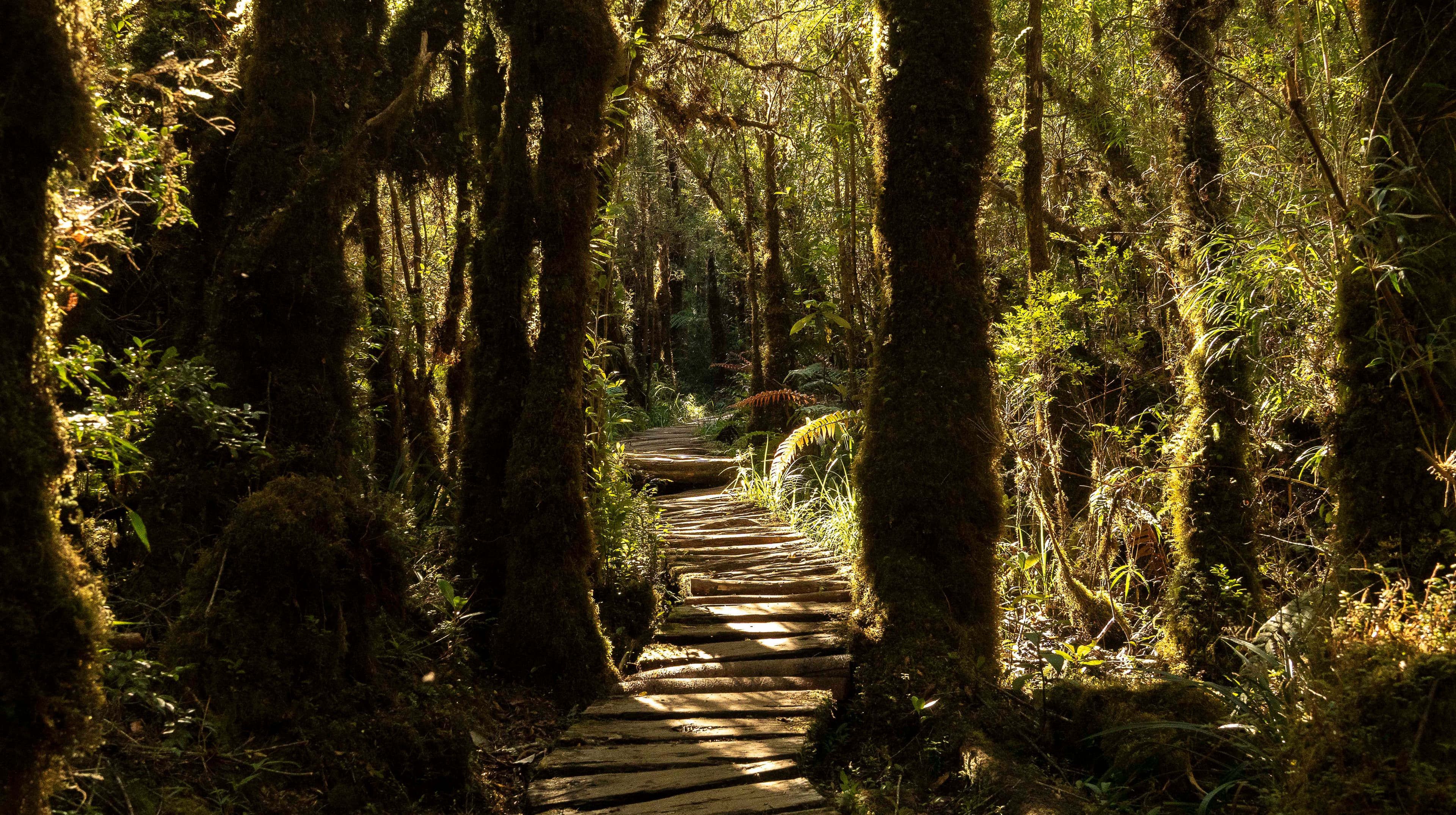Sur de Chile - Fotografía favorita por Cristian Letelier (Yiasau)