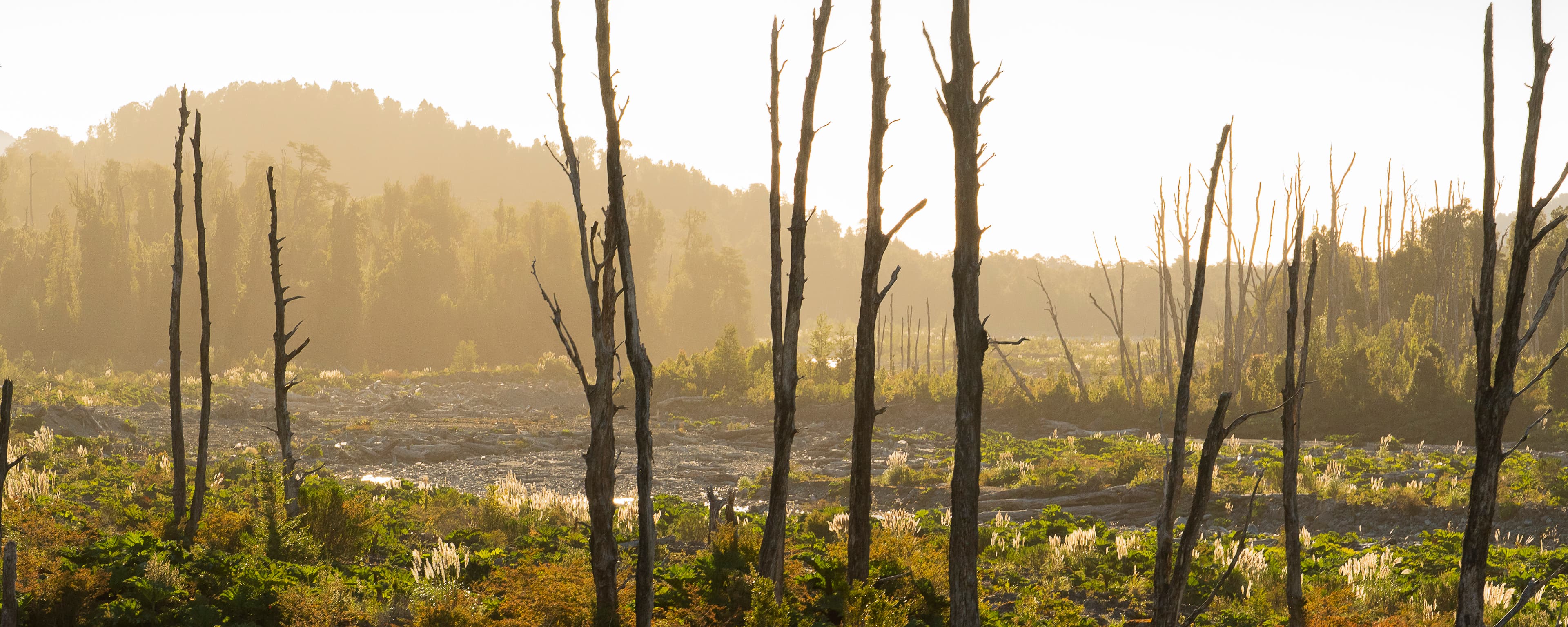 Sur de Chile - Fotografía artística por Cristian Letelier (Yiasau)