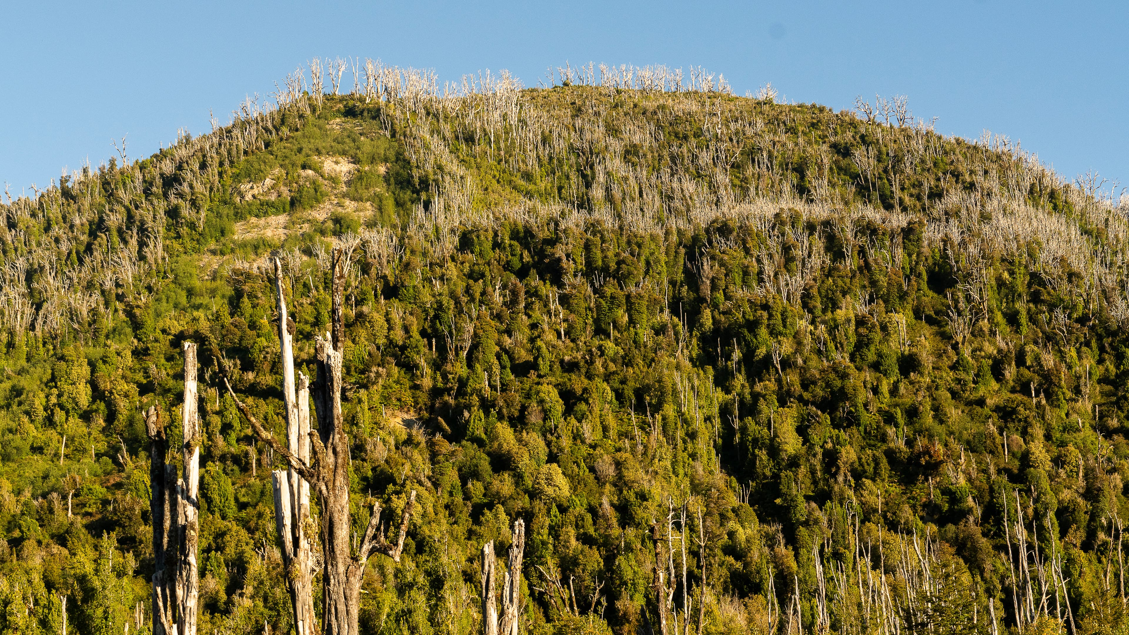 Sur de Chile - Fotografía artística por Cristian Letelier (Yiasau)