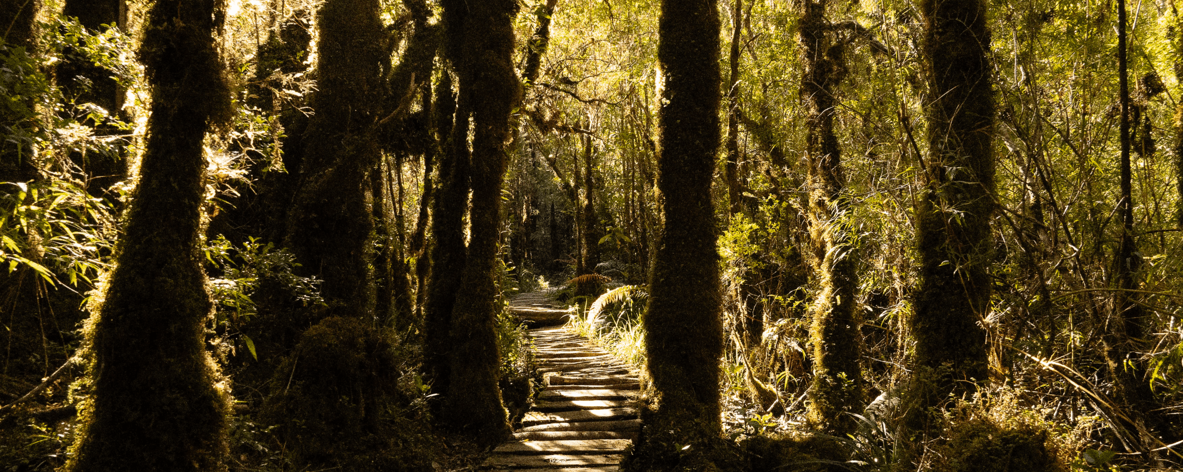 Sur de Chile - Fotografía artística por Cristian Letelier (Yiasau)