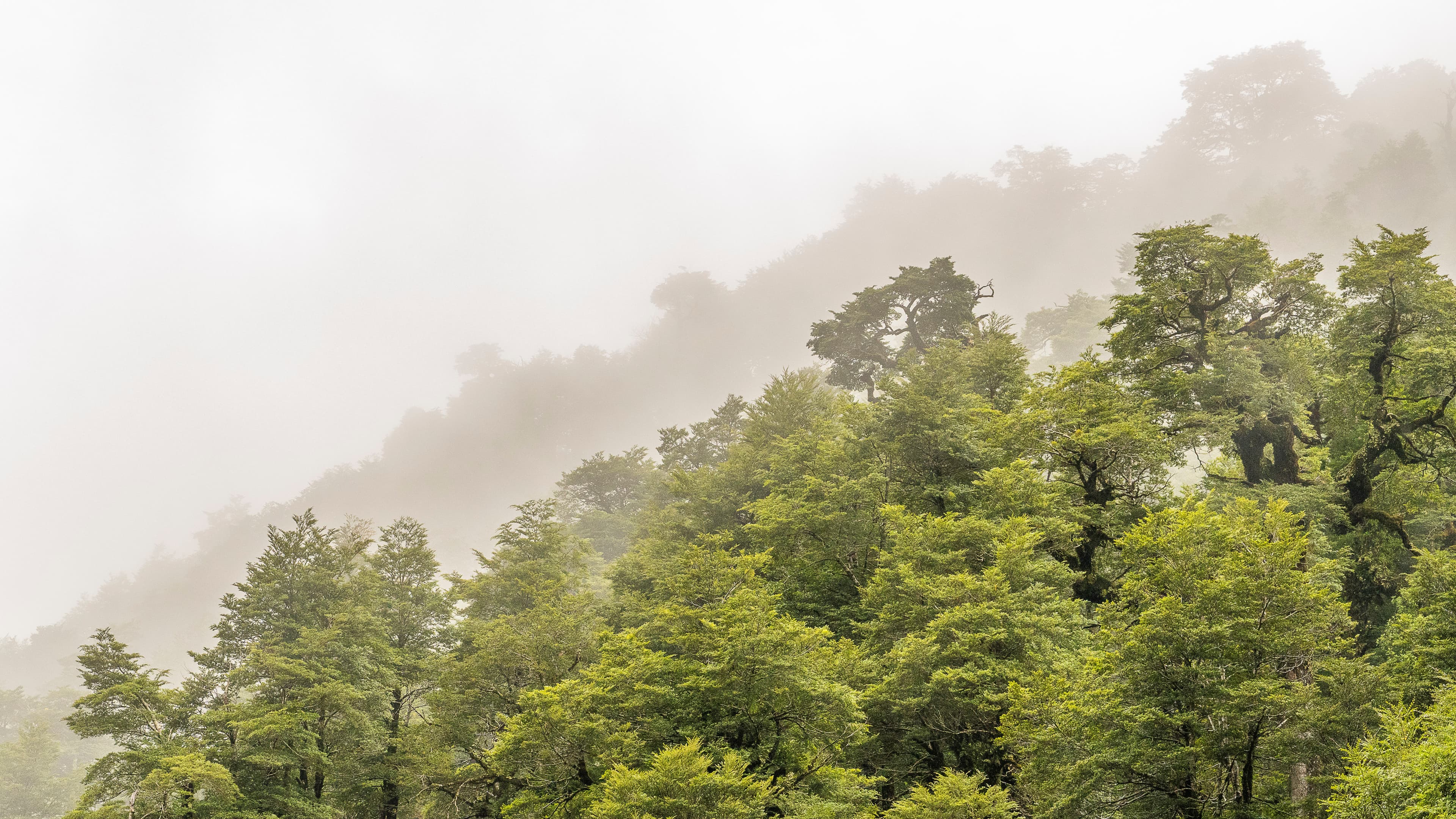 Sur de Chile - Fotografía artística por Cristian Letelier (Yiasau)